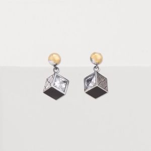 Bottega Veneta Earrings with original package